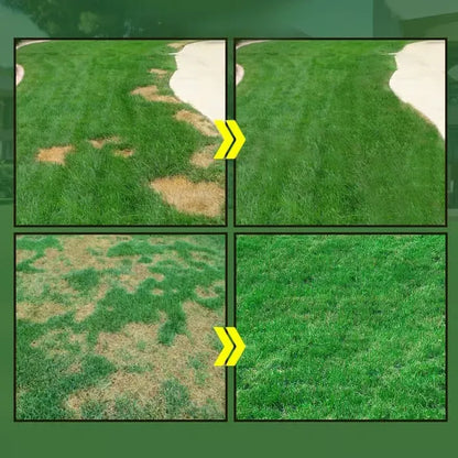 Hydro Seeding Lawn Spray Kit - view 4